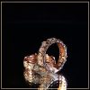 nhan-cuoi-kim-cuong-taj-nc1012-tu-an-moissanite