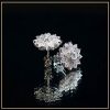 bong-tai-kim-cuong-nhan-tao-BT1001-tu-an-moissanite