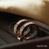 bong-tai-kim-cuong-nhan-tao-moissanite-cao-cap-bt1102