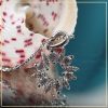 day-chuyen-kim-cuong-taj-d1180-tu-an-moissanite