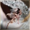 khuyen-cai-ao-kim-cuong-nhan-tao-moissanite-cao-cap-taj-1028-tu-an-moissanite