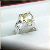 nhan-nu-kim-cuong-nhan-tao-cao-cap-taj-n2058-tu-an-moissanite