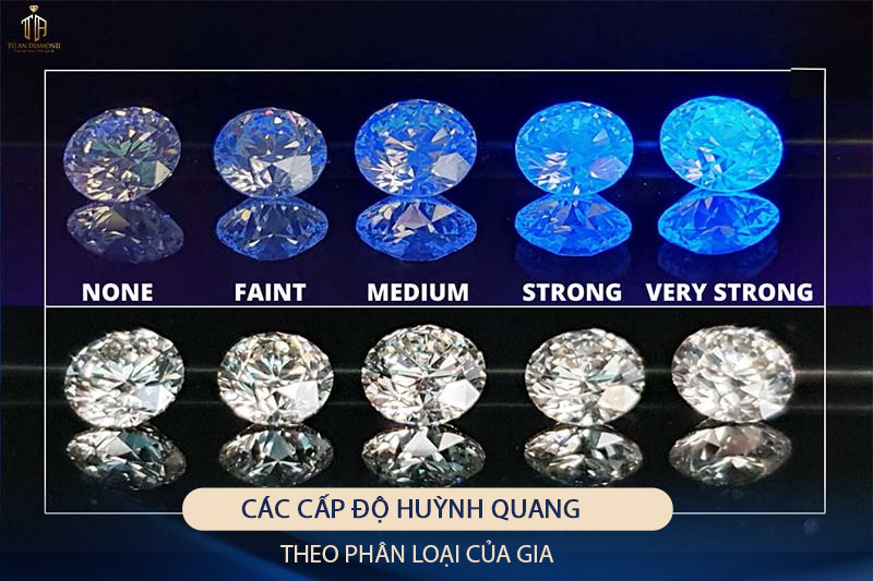 cac-cap-do-huynh-quang-kim-cuong