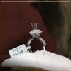 nhan-nu-kim-cuong-thien-nhien-cao-cap-taj-n2169-tu-an-moissanite