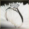 nhan-nu-kim-cuong-thien-nhien-cao-cap-taj-N2213-tu-an-moissanite