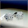 bong-tai-kim-cuong-thien-nhien-taj-bt1315-tu-an-moissanite