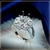 nhan-nu-kim-cuong-thien-nhien-cao-cap-taj-N2276-tu-an-moissanite