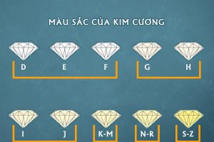 Kim Cương Nước F Là Gì? Hiểu Về Nước Kim Cương